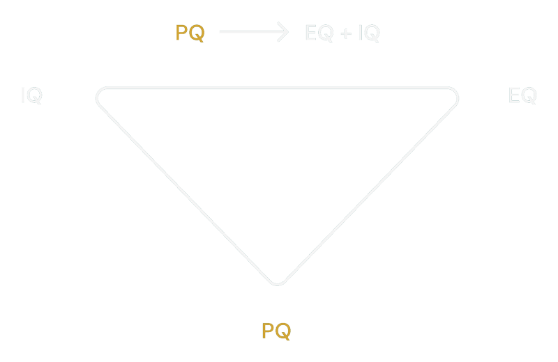 PQ equation