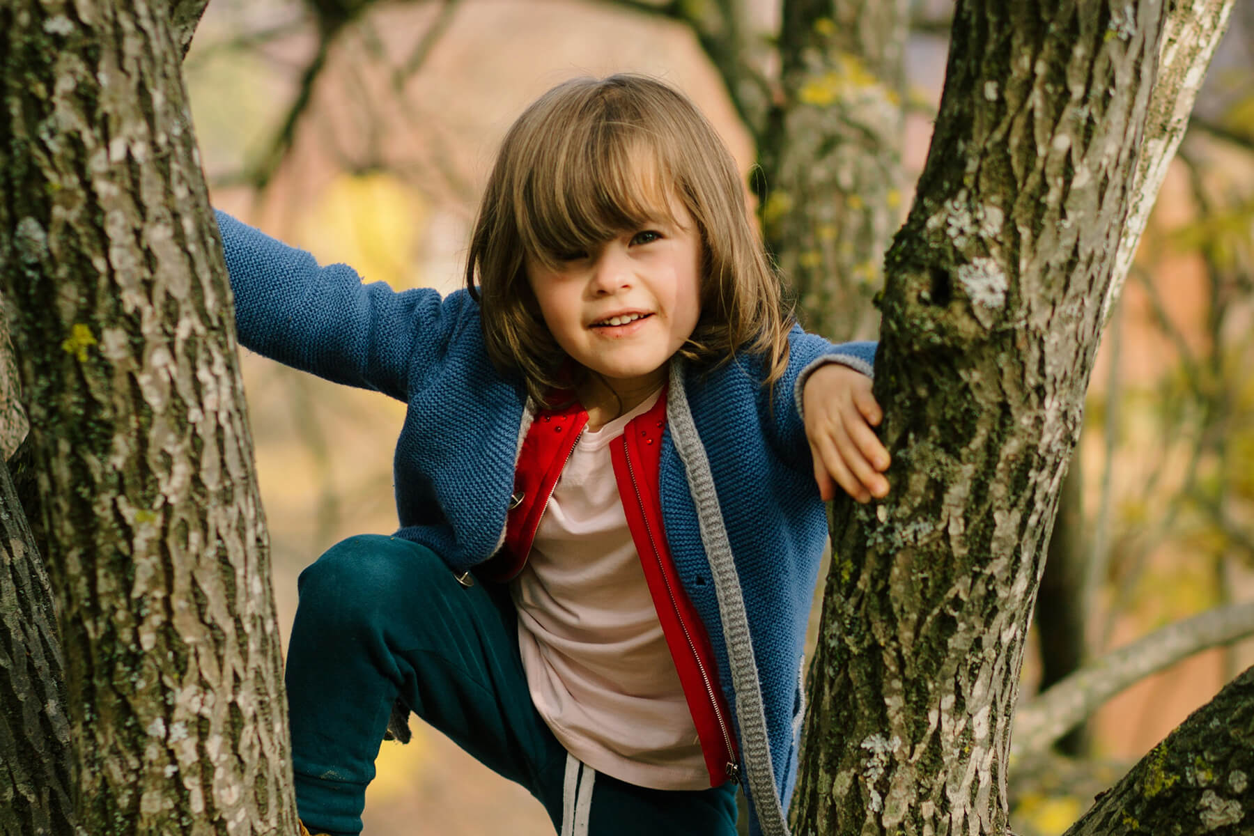 Why PQ - Child playing in tree